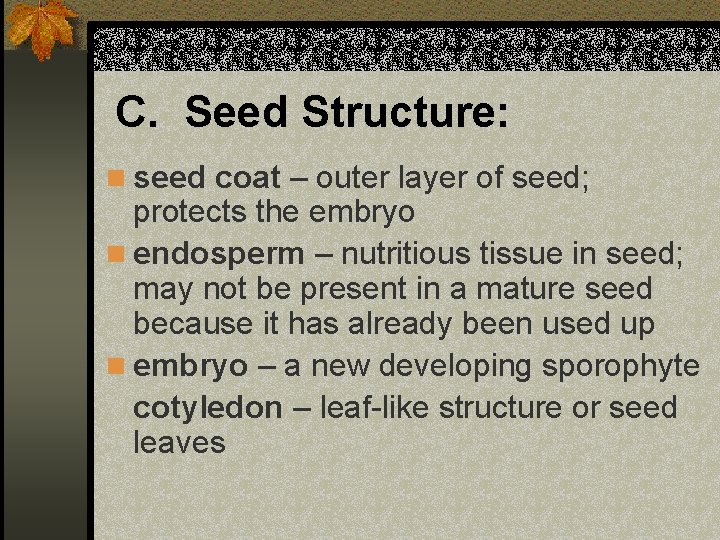 C. Seed Structure: n seed coat – outer layer of seed; protects the embryo