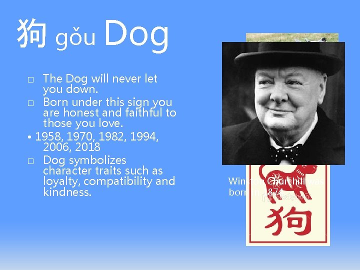 狗 gǒu Dog The Dog will never let you down. � Born under this