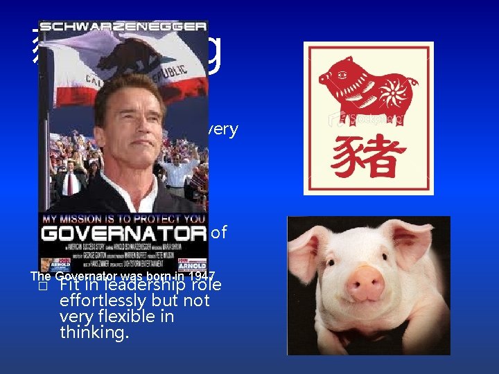 豬 zhū Pig You are a splendid companion -- an intellectual with a very
