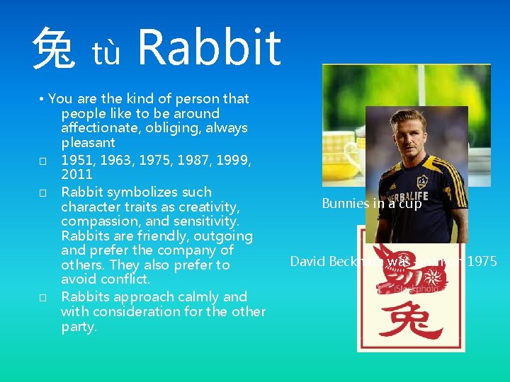 兔 tù Rabbit • You are the kind of person that people like to