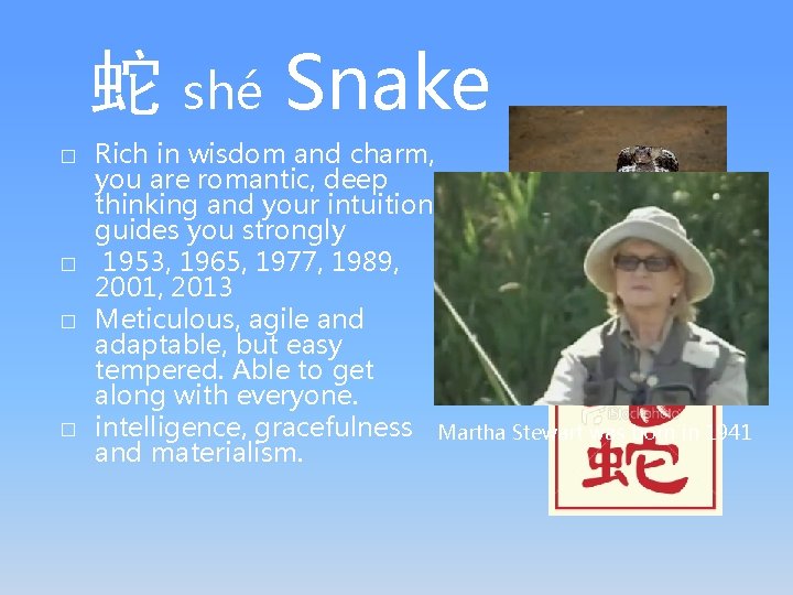 蛇 shé Snake � � Rich in wisdom and charm, you are romantic, deep