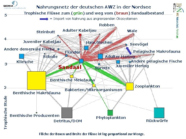 Nahrungsnetz der deutschen AWZ in der Nordsee 5 Trophische Flüsse zum (grün) und weg