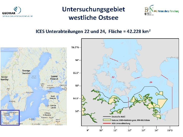 Untersuchungsgebiet westliche Ostsee ICES Unterabteilungen 22 und 24, Fläche = 42. 228 km 2