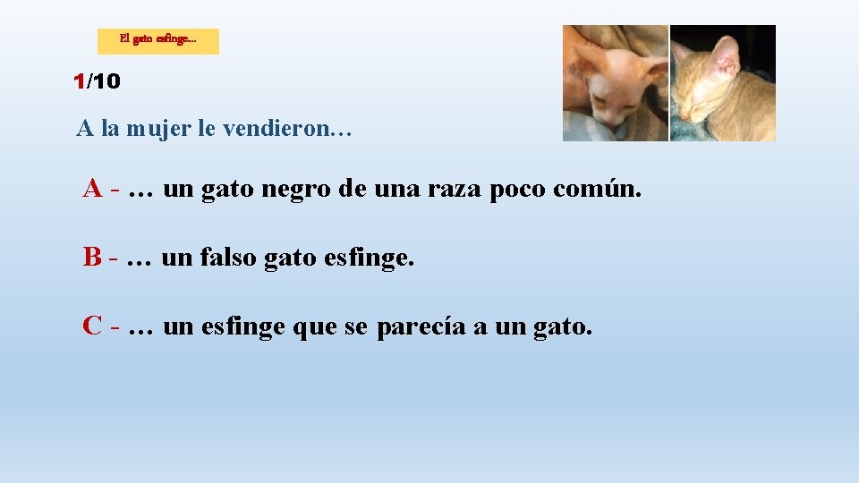 El gato esfinge… 1/10 A la mujer le vendieron… A - … un gato