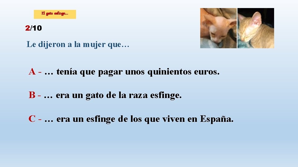 El gato esfinge… 2/10 Le dijeron a la mujer que… A - … tenía