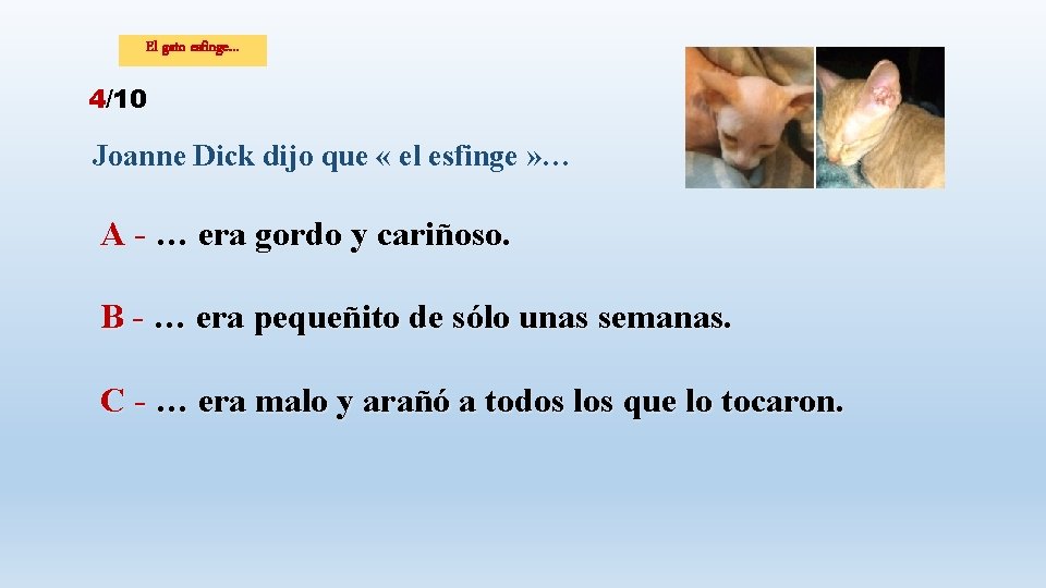 El gato esfinge… 4/10 Joanne Dick dijo que « el esfinge » … A