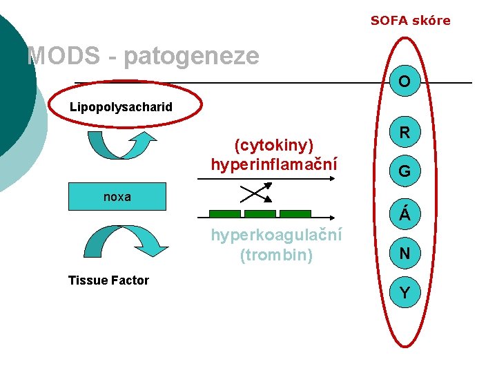 SOFA skóre MODS - patogeneze O Lipopolysacharid (cytokiny) hyperinflamační R G noxa Á hyperkoagulační