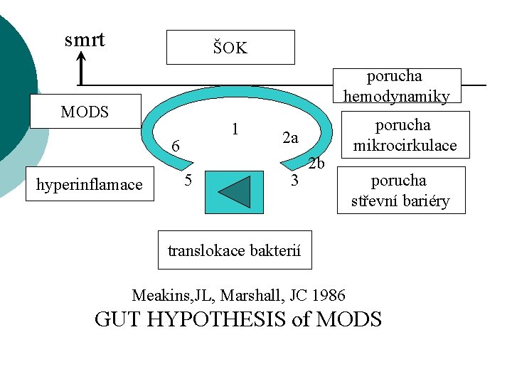 smrt ŠOK porucha hemodynamiky MODS 1 6 hyperinflamace 5 4 2 a 3 2