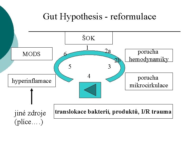 Gut Hypothesis - reformulace ŠOK MODS 1 6 5 hyperinflamace jiné zdroje (plíce…. )