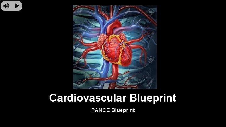Cardiovascular Blueprint PANCE Blueprint 