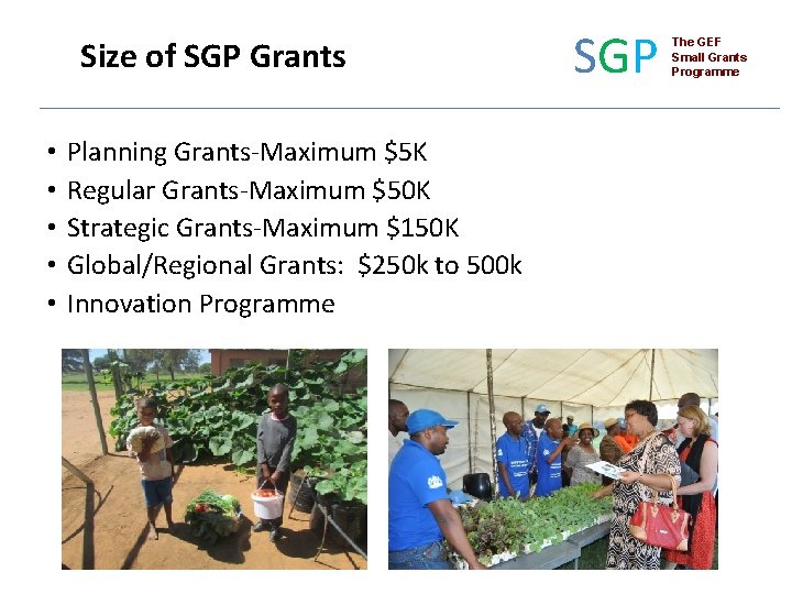 Size of SGP Grants • • • Planning Grants-Maximum $5 K Regular Grants-Maximum $50