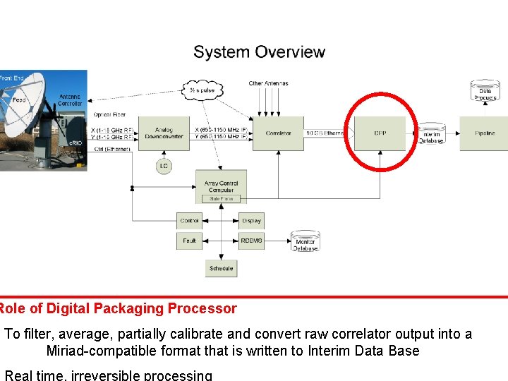 Role of Digital Packaging Processor • To filter, average, partially calibrate and convert raw