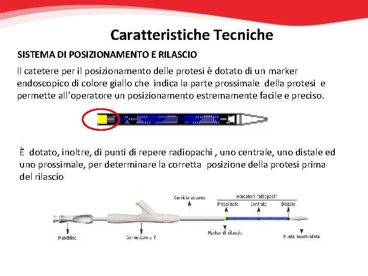 Caratteristiche Tecniche SISTEMA DI POSIZIONAMENTO E RILASCIO Il catetere per il posizionamento delle protesi