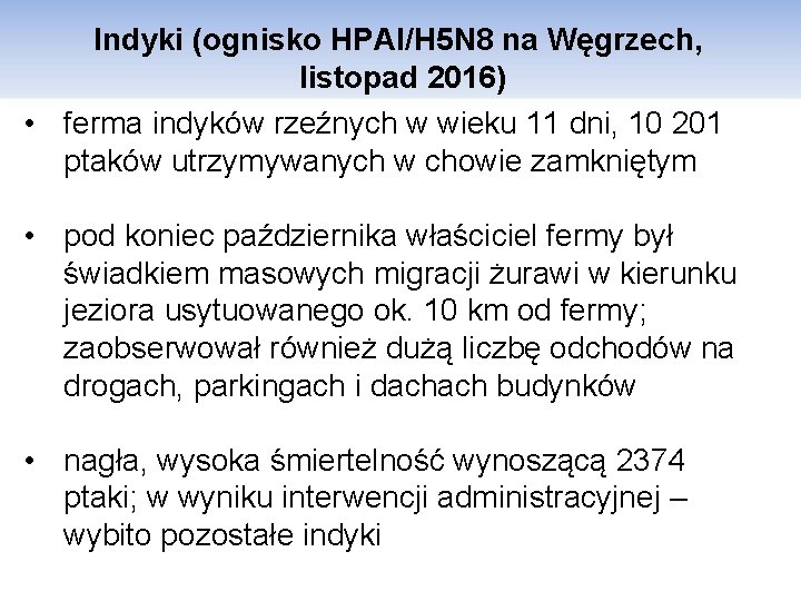 Indyki (ognisko HPAI/H 5 N 8 na Węgrzech, listopad 2016) • ferma indyków rzeźnych