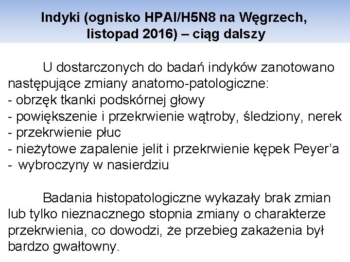 Indyki (ognisko HPAI/H 5 N 8 na Węgrzech, listopad 2016) – ciąg dalszy U