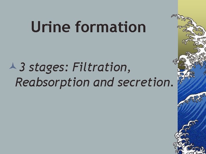 Urine formation © 3 stages: Filtration, Reabsorption and secretion. 