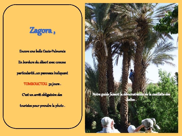 Zagora , Encore une belle Oasis-Palmeraie En bordure du désert avec comme particularité…un panneau