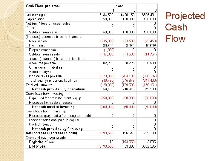 Projected Cash Flow 