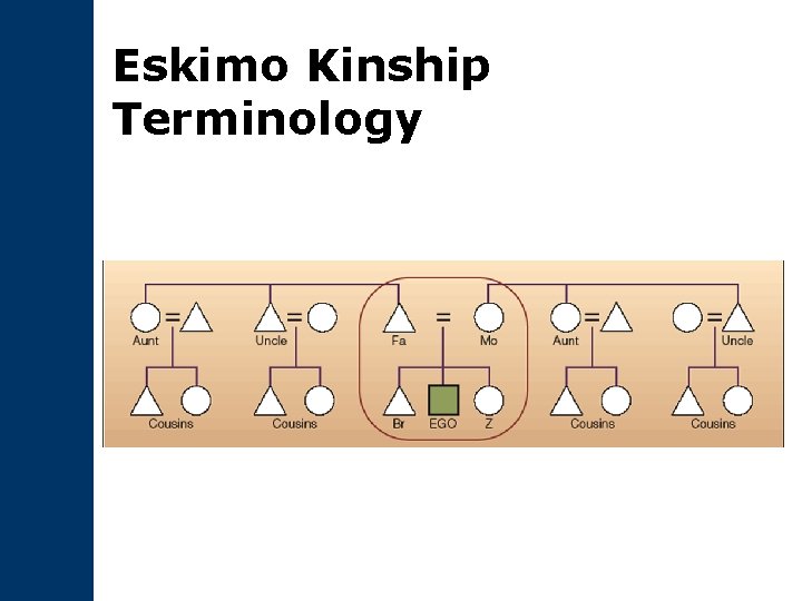 Eskimo Kinship Terminology 