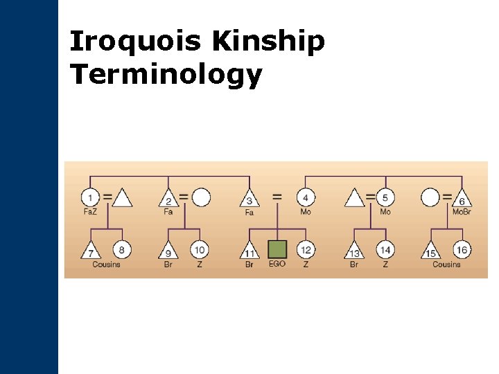 Iroquois Kinship Terminology 