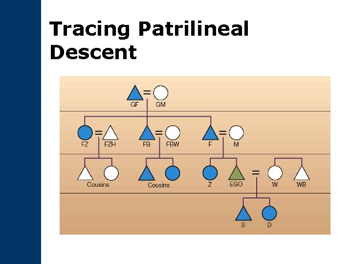 Tracing Patrilineal Descent 