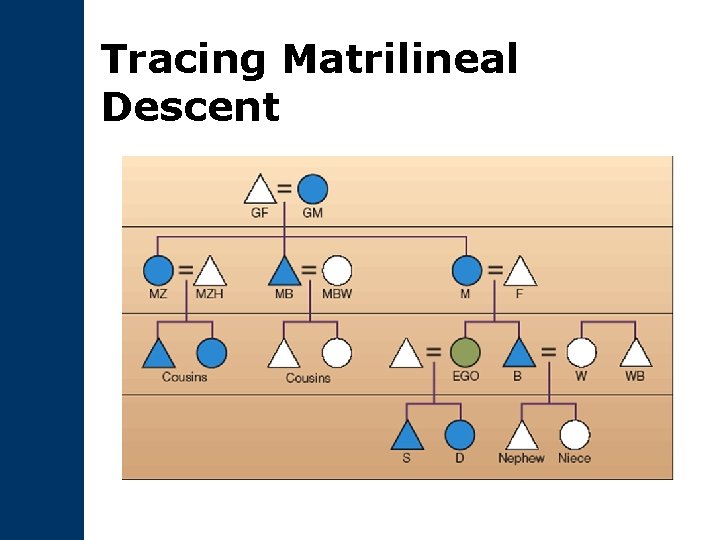 Tracing Matrilineal Descent 