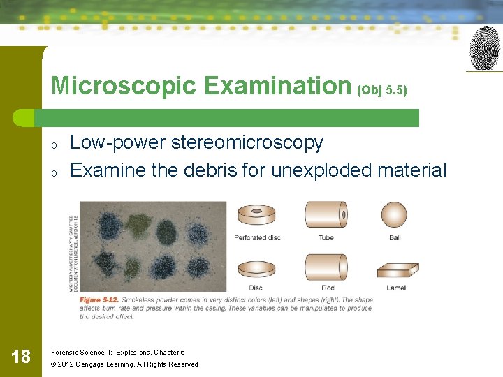 Microscopic Examination (Obj 5. 5) o o 18 Low-power stereomicroscopy Examine the debris for Microscopic Examination (Obj 5. 5) o o 18 Low-power stereomicroscopy Examine the debris for