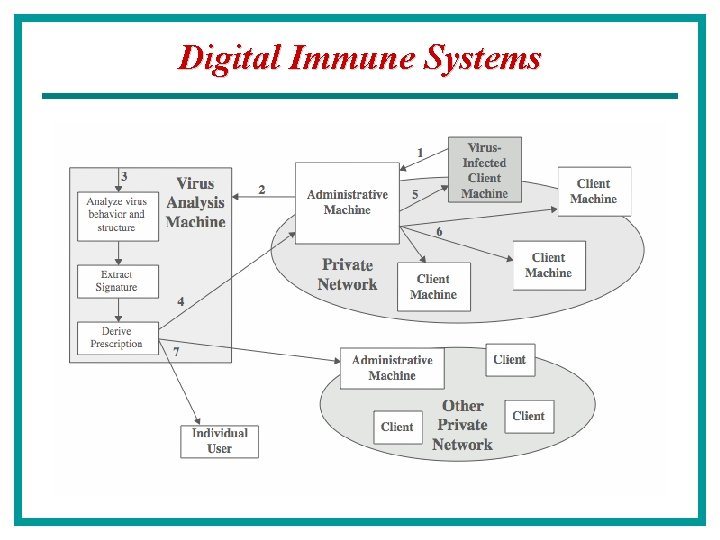 Digital Immune Systems 