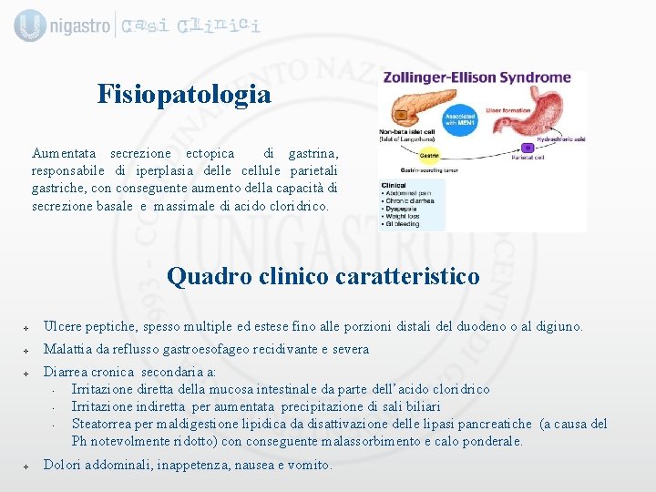 Fisiopatologia Aumentata secrezione ectopica di gastrina, responsabile di iperplasia delle cellule parietali gastriche, conseguente