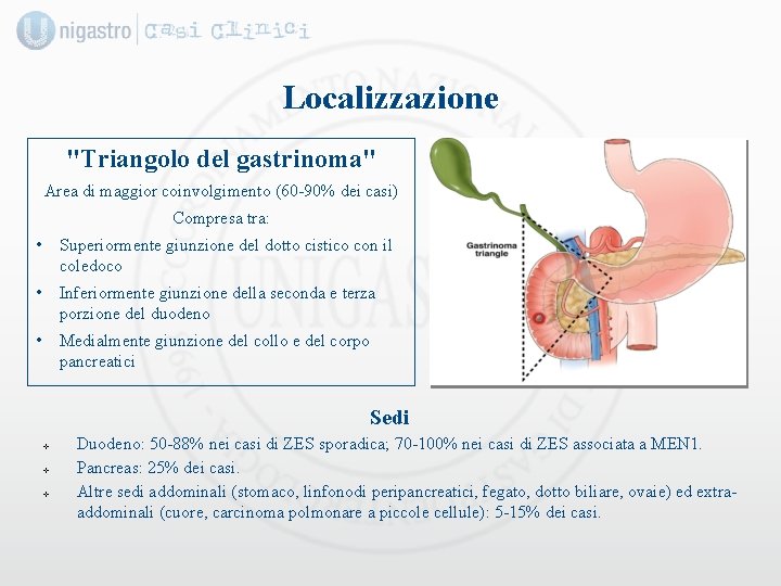 Localizzazione "Triangolo del gastrinoma" Area di maggior coinvolgimento (60 -90% dei casi) Compresa tra: