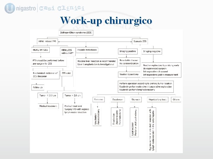 Work-up chirurgico 