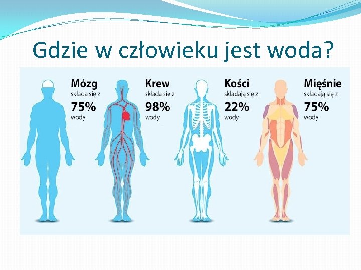 Gdzie w człowieku jest woda? 