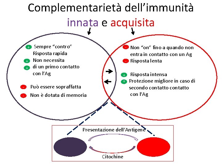 Complementarietà dell’immunità innata e acquisita + Sempre “contro” Risposta rapida + Non necessita +