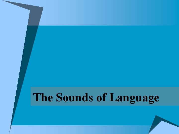 The Sounds of Language 