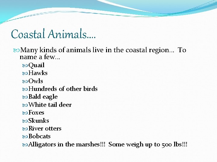Coastal Animals…. Many kinds of animals live in the coastal region… To name a