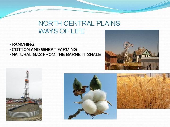 NORTH CENTRAL PLAINS WAYS OF LIFE • RANCHING • COTTON AND WHEAT FARMING •