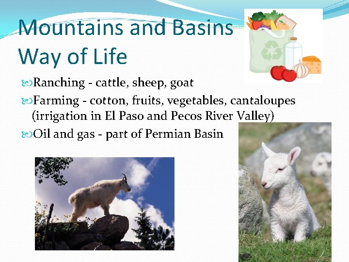 Mountains and Basins Way of Life Ranching - cattle, sheep, goat Farming - cotton,