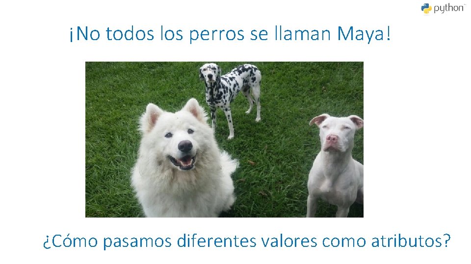 ¡No todos los perros se llaman Maya! ¿Cómo pasamos diferentes valores como atributos? 