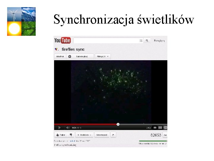 Synchronizacja świetlików 