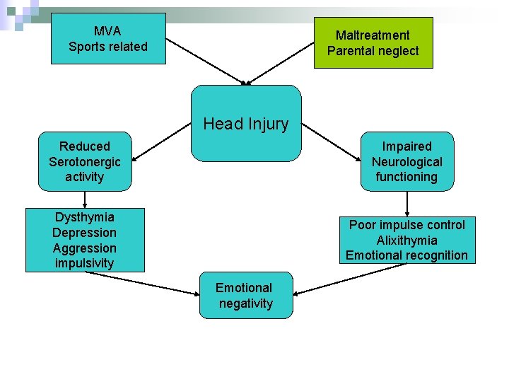 MVA Sports related Maltreatment Parental neglect Head Injury Reduced Serotonergic activity Impaired Neurological functioning