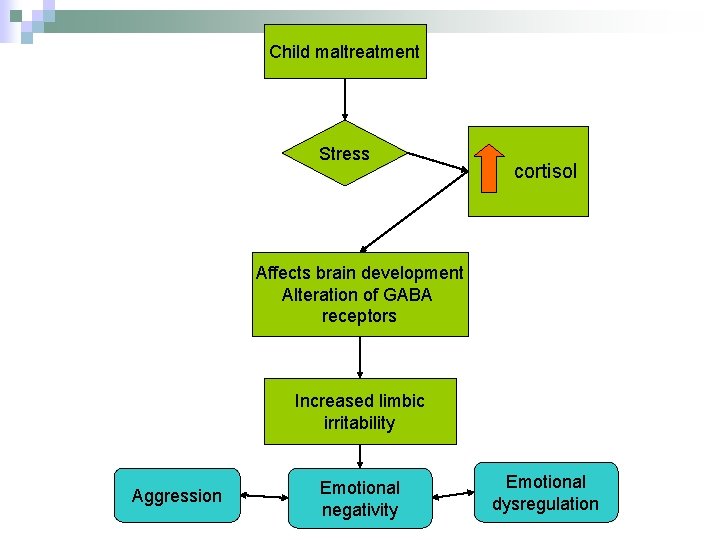 Child maltreatment Stress cortisol Affects brain development Alteration of GABA receptors Increased limbic irritability