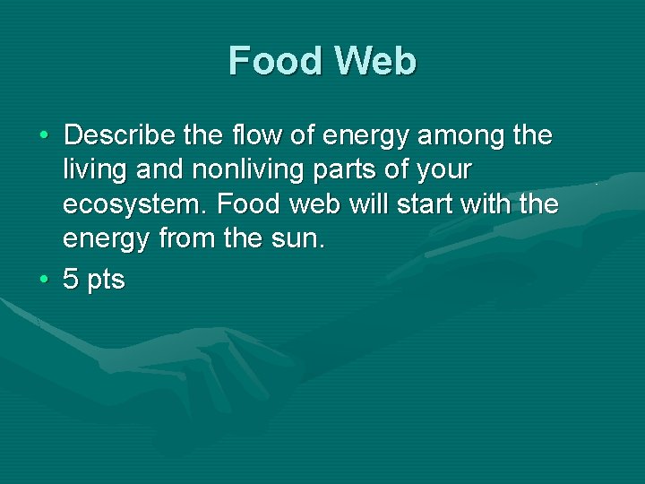 Food Web • Describe the flow of energy among the living and nonliving parts