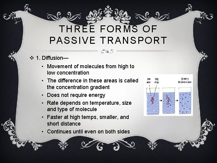 THREE FORMS OF PASSIVE TRANSPORT v 1. Diffusion— • Movement of molecules from high