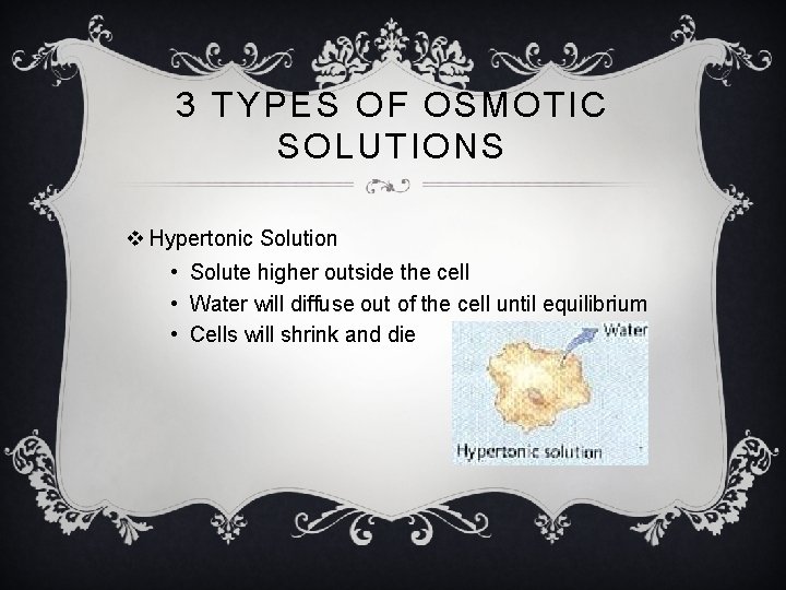 3 TYPES OF OSMOTIC SOLUTIONS v Hypertonic Solution • Solute higher outside the cell