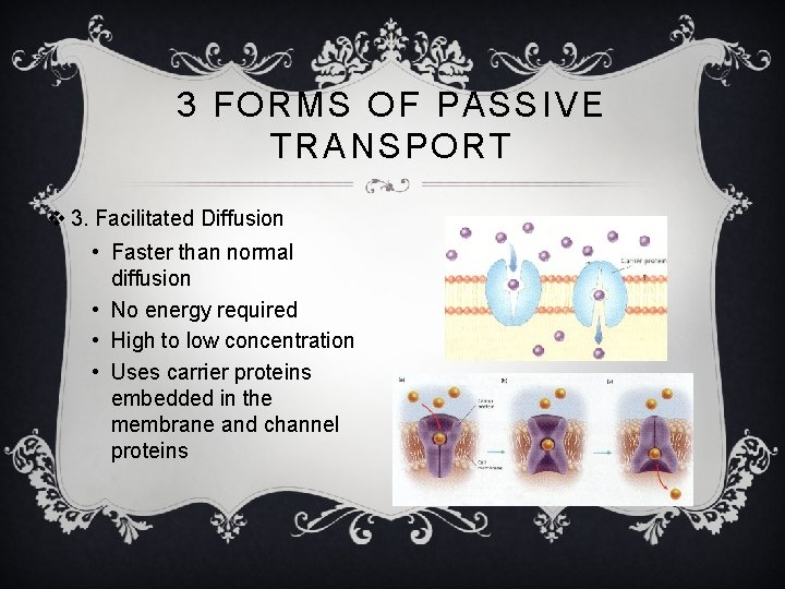 3 FORMS OF PASSIVE TRANSPORT v 3. Facilitated Diffusion • Faster than normal diffusion