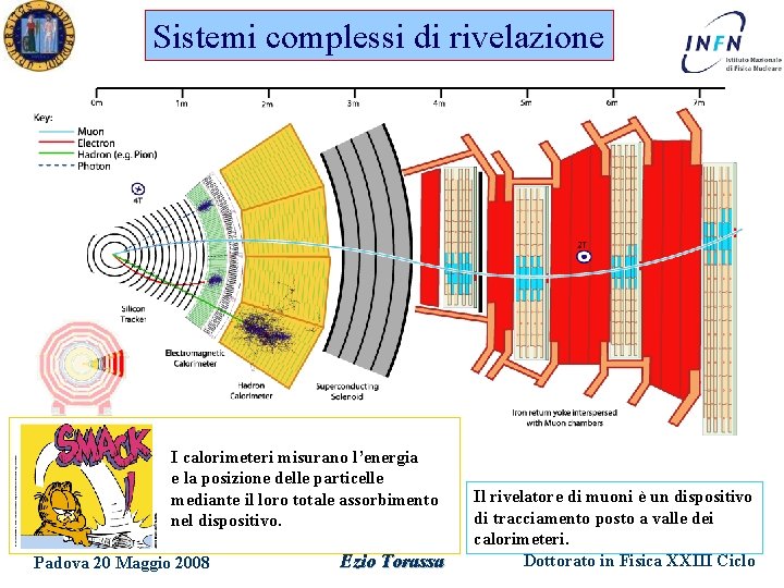 Sistemi complessi di rivelazione I calorimeteri misurano l’energia e la posizione delle particelle mediante Sistemi complessi di rivelazione I calorimeteri misurano l’energia e la posizione delle particelle mediante