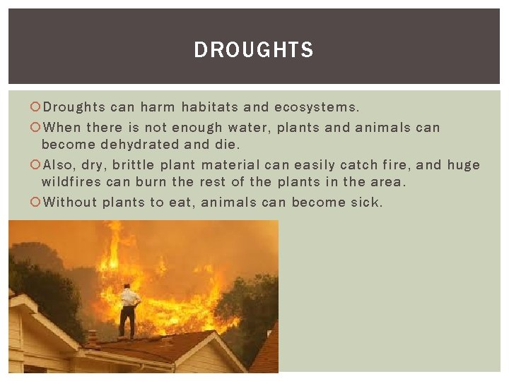 DROUGHTS Droughts can harm habitats and ecosystems. When there is not enough water, plants