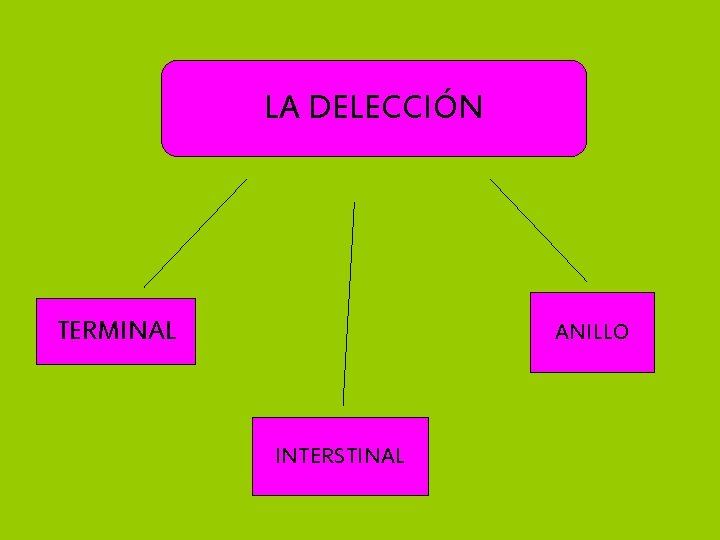 LA DELECCIÓN TERMINAL ANILLO INTERSTINAL 