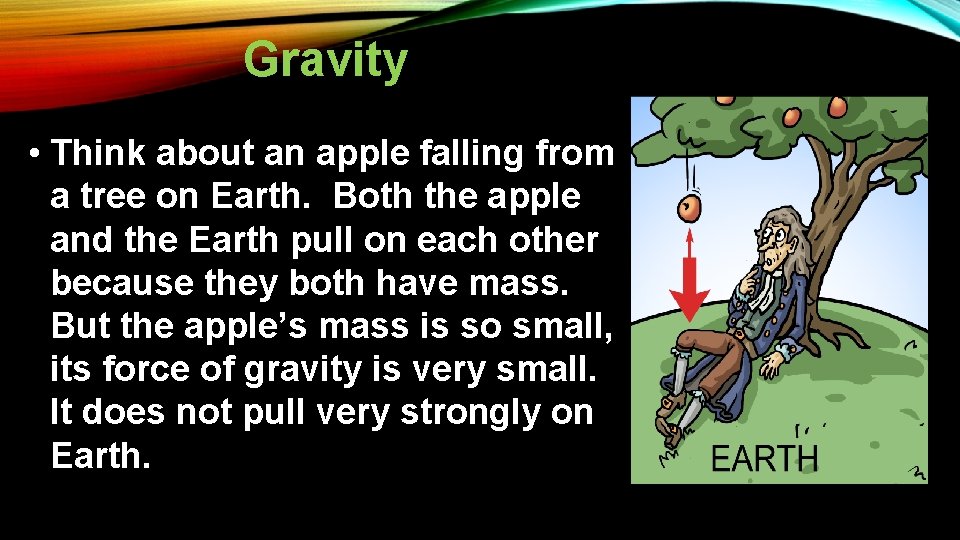 Gravity • Think about an apple falling from a tree on Earth. Both the