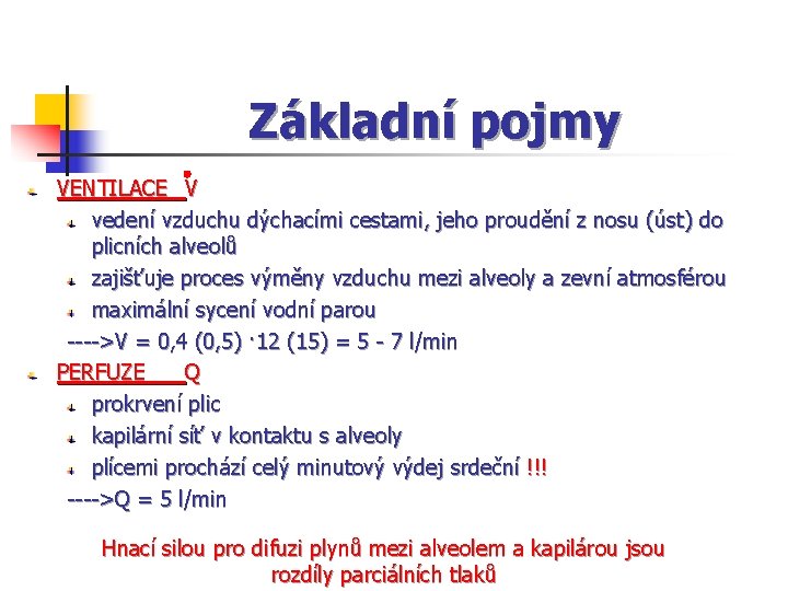 Základní pojmy VENTILACE V vedení vzduchu dýchacími cestami, jeho proudění z nosu (úst) do